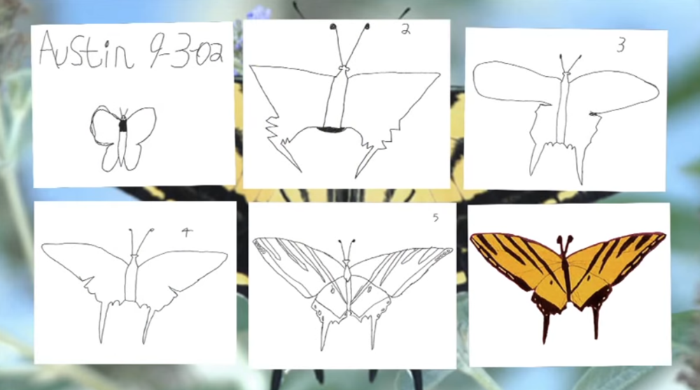 austins-butterfly-1